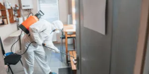Disinfestazione blatte professionale
