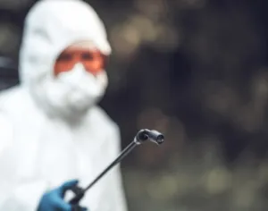 Sanificazione dengue