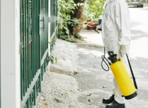 Disinfestazione dengue a Genova Disinfestazione dengue a Genova