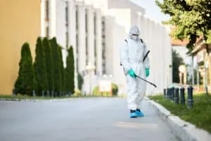 Disinfestazione professionale contro le formiche